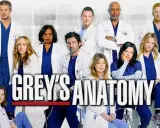 Il cast di Grey's Anatomy 22, con medici in camice bianco e blu, pronto per nuove sfide al Seattle Grace Hospital.