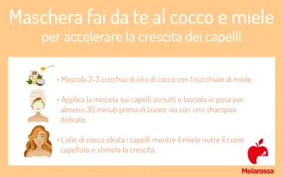 Maschera fai da te al cocco e miele: scopri i miracoli per far crescere i capelli. Istruzioni per una chioma sana e forte.